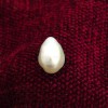 AUSTALIAN PEARL (MOTI)-7.51 CARATS