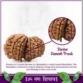 GAURI SHANKAR NEPAL RUDRAKSHA IN 11 MUKHI WITH LORD GANESHA TRUNK