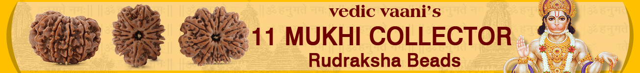 11 Mukhi Collector