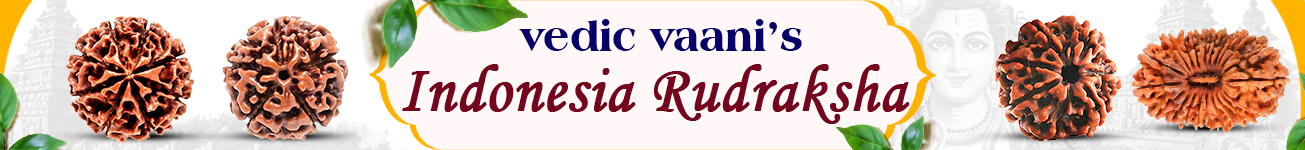 Rudraksha 1 to 21 Mukhi Java