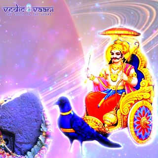 Book Vastu Dosh Nivaran Puja Online - Vedic Vaani