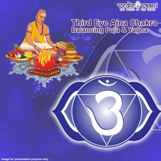 Book Throat Vishuddha Chakra balancing Puja and Yagna Online