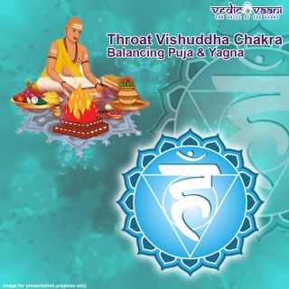 Book Sacral Swadhisthana Chakra balancing Puja and Yagna Online