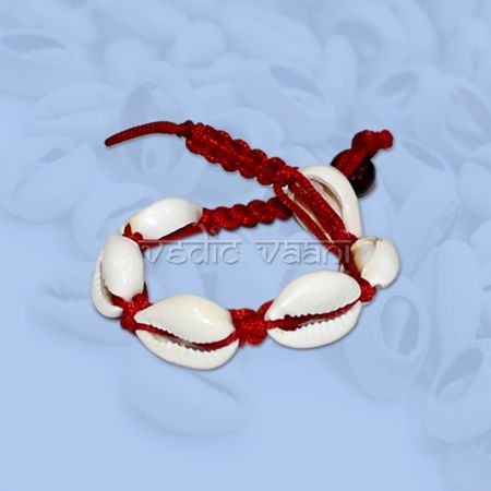 Shop Small Cowry Shell Conch Bracelet online from Vedic Vaani