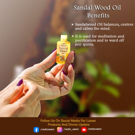 Everything You Need to Know About Sandalwood Essential Oil