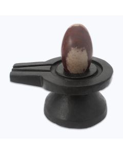 Shaivism Shivling with Black Yonibase for Home/Office Puja VZ743