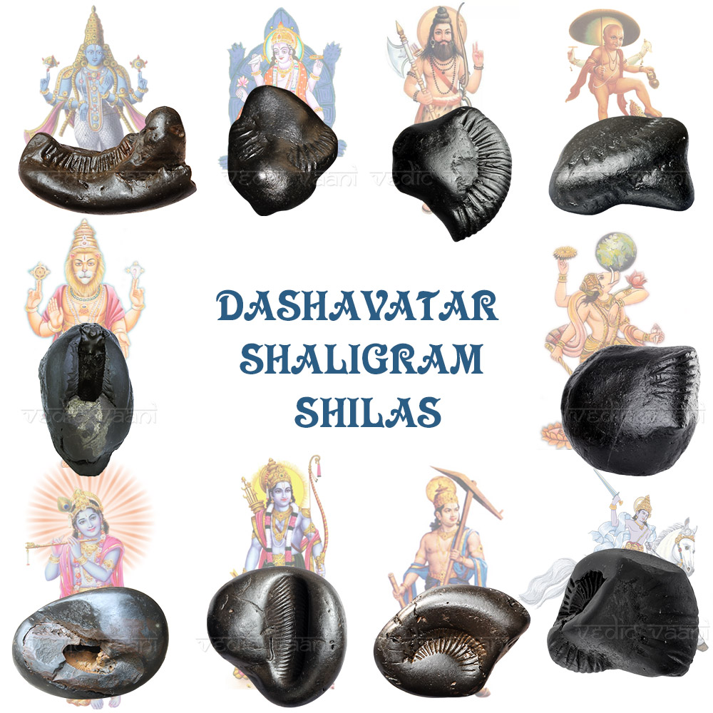 Dashavatar of Vishnu Shaligram Shila Buy online USA UK Canada