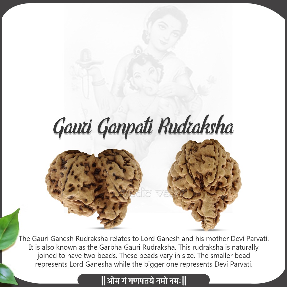 Gauri Ganpati Bholenath Omkara Nepal Beads Sarva Siddha Rudraksha ...