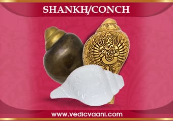shankh-conch